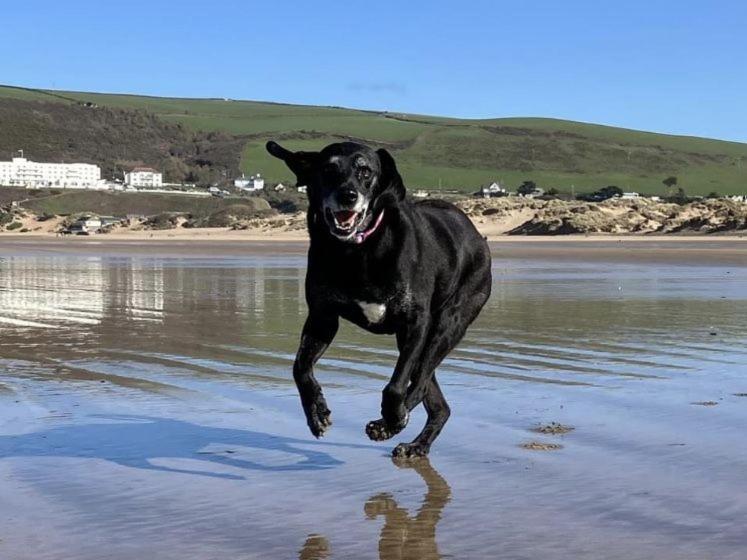Croyde Thatchers Hideaway 2 Bedrooms Dış mekan fotoğraf